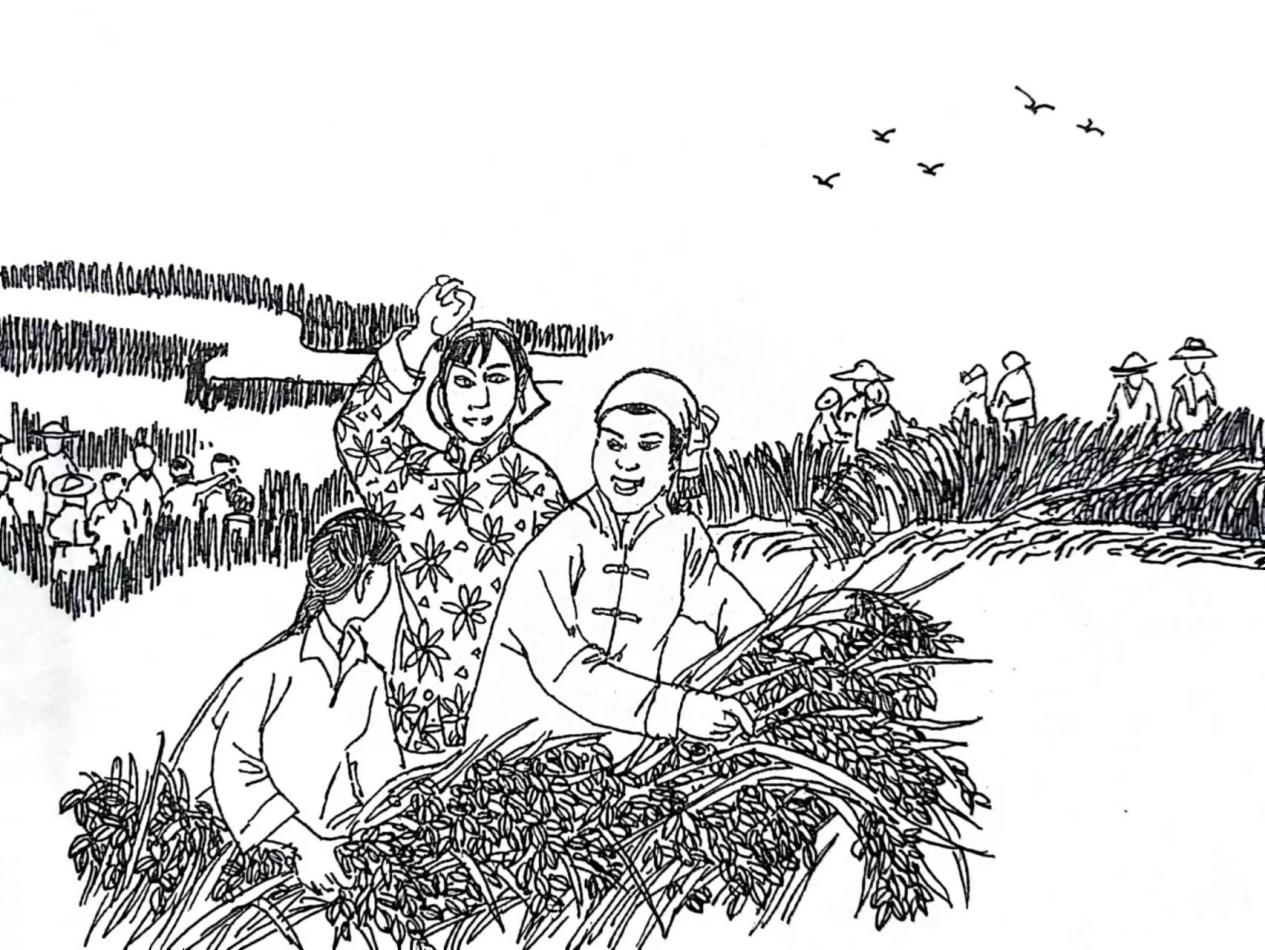 图片6