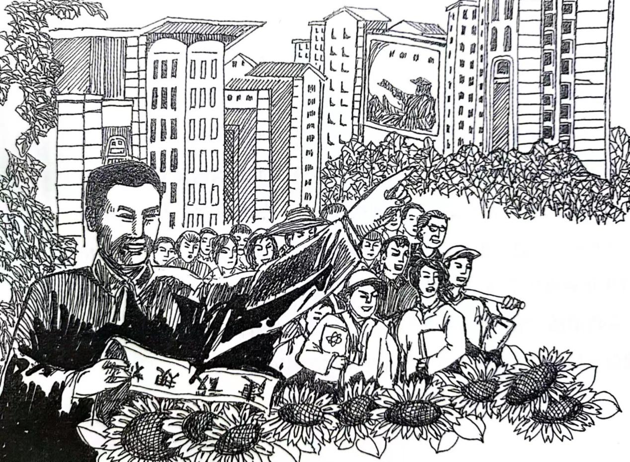 图片8