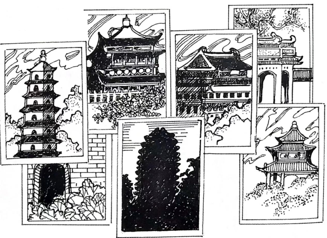 图片5
