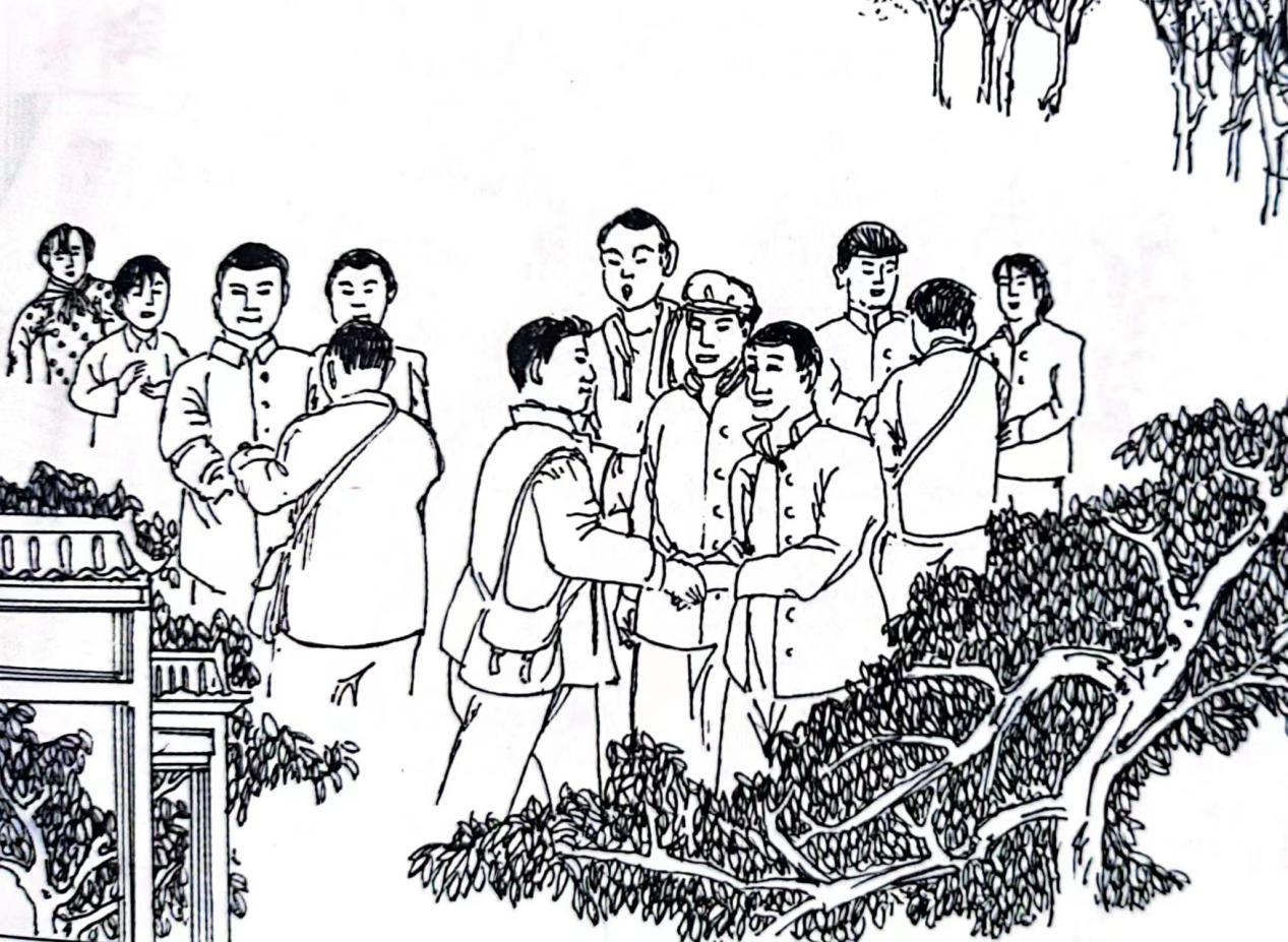 图片1